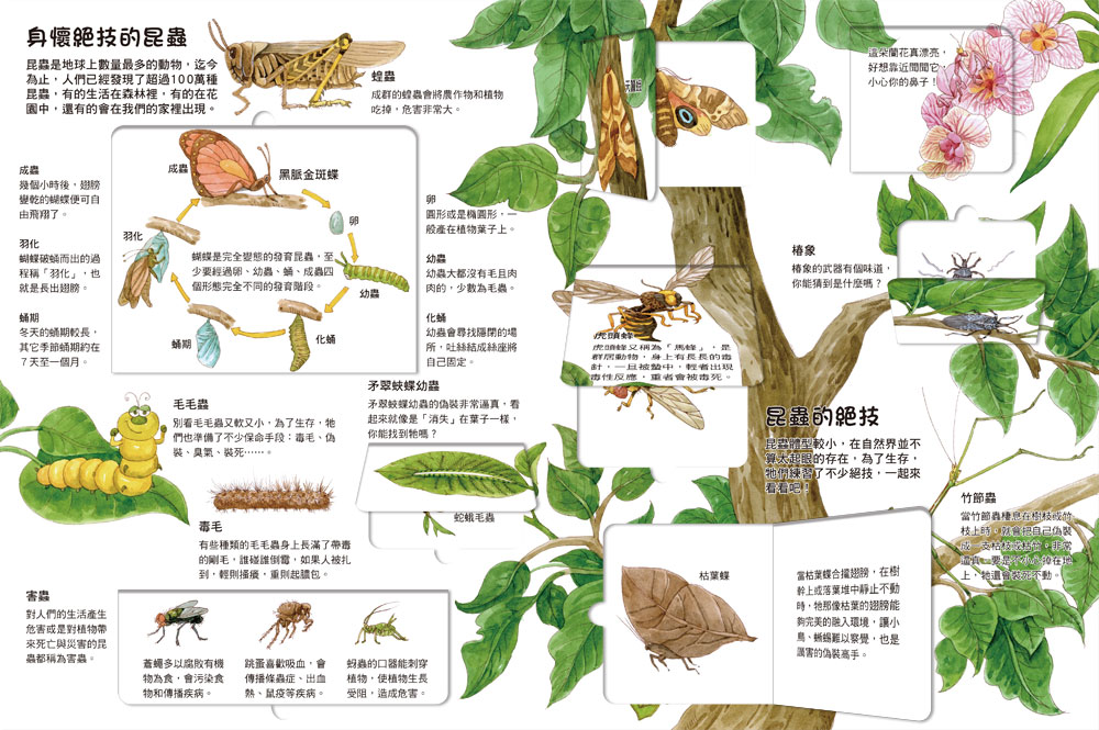  我的STEAM翻翻書：生氣蓬勃的自然（7個場景+50個翻頁小機關）
